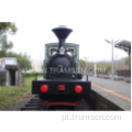 4 pessoa Mini Electric Sightseeing Train Turistical Price